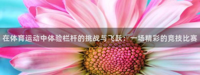 杏悦2体育2：在体育运动中体验栏杆的挑战与飞跃：一场精彩的竞技比赛