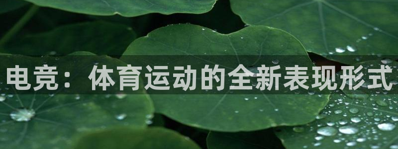 杏悦2平台主管：电竞：体育运动的全新表现形式