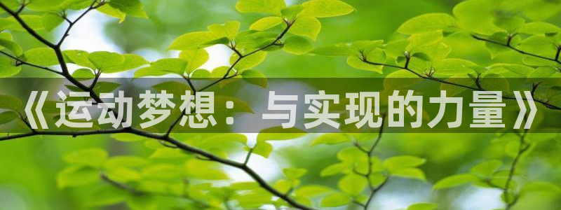 杏悦2体育凯捷平台注册：《运动梦想：与实现的力量》