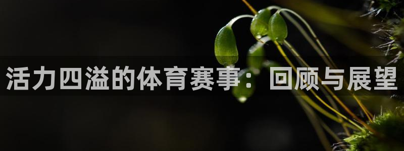 杏悦2体育代理申请流程：活力四溢的体育赛事：回顾与展望