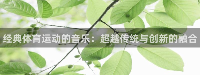 杏悦2体育平台登录入口：经典体育运动的音乐：超越传统与创新的融合