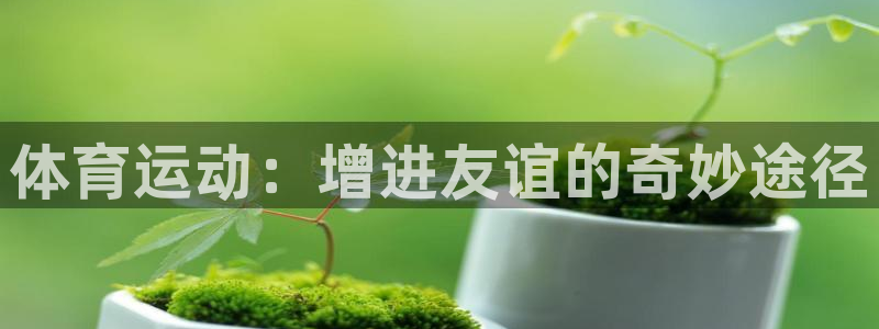 杏悦2招商：体育运动：增进友谊的奇妙途径