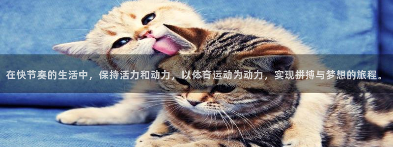 杏悦25