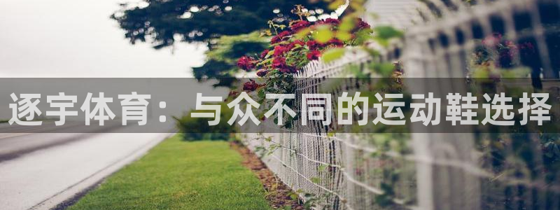 杏悦2体育官网：逐宇体育：与众不同的运动鞋选择