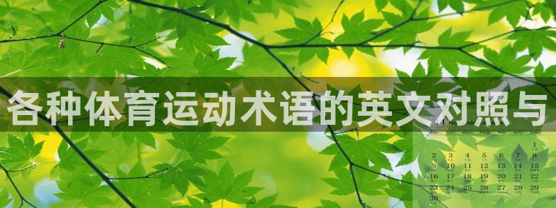 杏悦25招商：各种体育运动术语的英文对照与