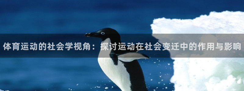 意昂代理：体育运动的社会学视角：探讨运动在社会变迁中的作用与影响