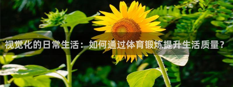 东莞市大朗意昂五金厂：视觉化的日常生活：如何通过体育锻炼提升生活质量？
