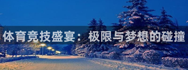 意昂5平台：体育竞技盛宴：极限与梦想的碰撞