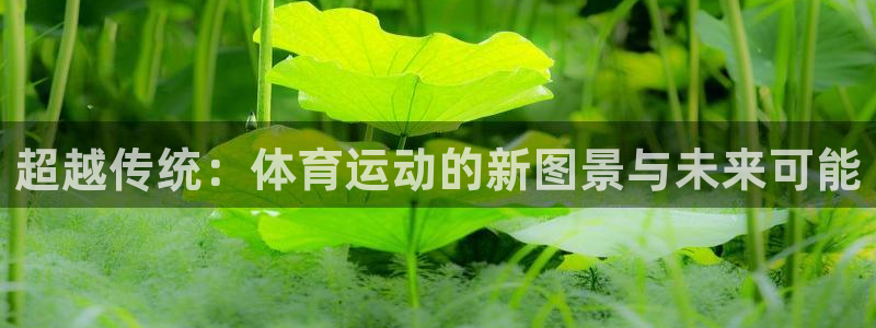 杏悦2体育平台总代理：超越传统：体育运动的新图景与未来可能
