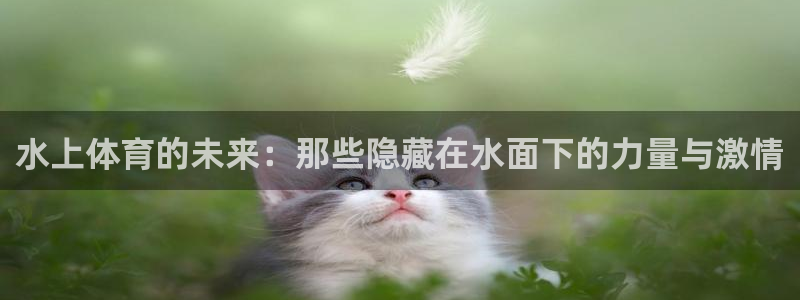 杏悦2集团：水上体育的未来：那些隐藏在水面下的力量与激情