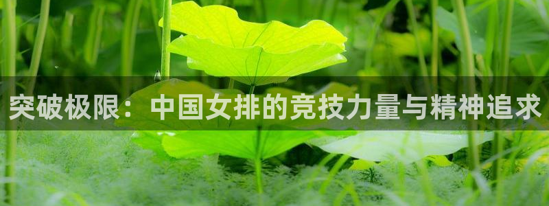 杏悦23代理