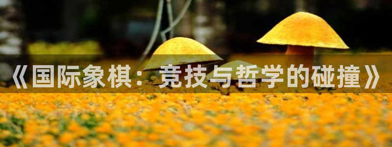 杏悦24：《国际象棋：竞技与哲学的碰撞》