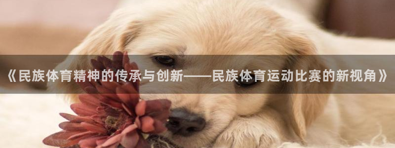 意昂3注册：《民族体育精神的传承与创新——民族体育运动比赛的新视角》