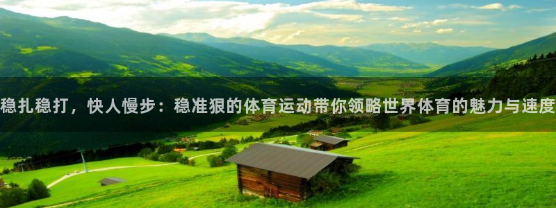 杏悦2官网注册：稳扎稳打，快人慢步：稳准狠的体育运动带你领略世界体育的魅力与速度