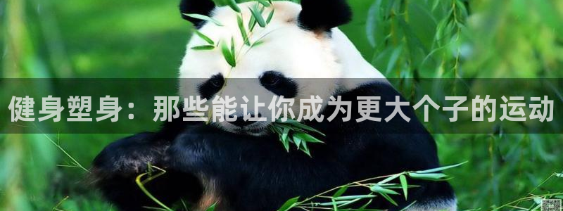 www.杏悦2体育.com：健身塑身：那些能让你成为更大个子的运动