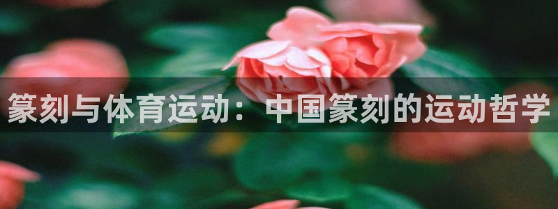 杏悦22平台登录：篆刻与体育运动：中国篆刻的运动哲学